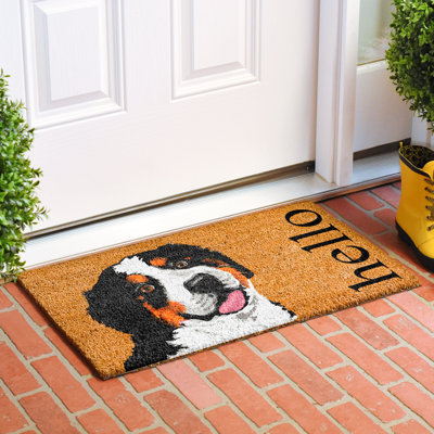 Non-Slip Doormat