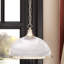 Arnott 1 - Light Dome Pendant-16543521-20544012