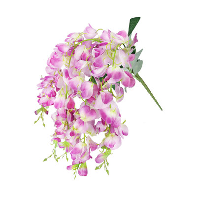 Buisson de glycine suspendu