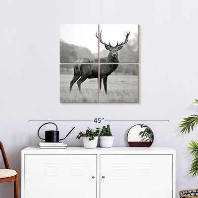 Brampt Proud Deer BW