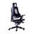 Gray Ergonomic Executive Chair