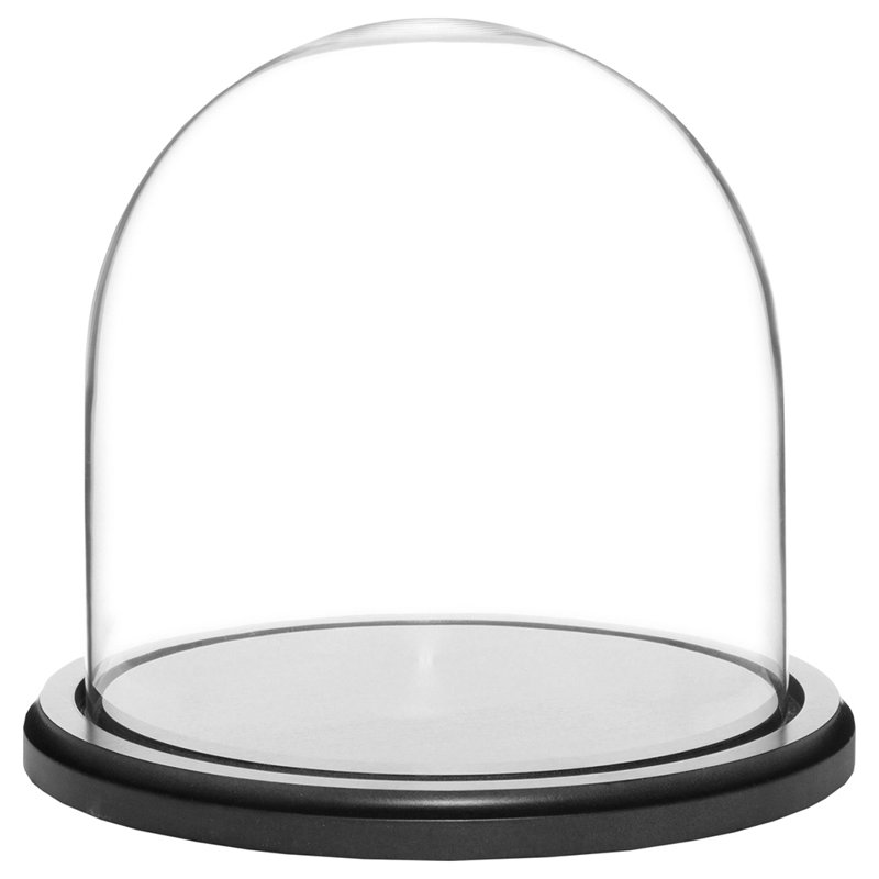 Cloche à dôme en verre 9,75 "x 15" Vucciria, 8" H x 8" W x 8" D, Black Wood Base