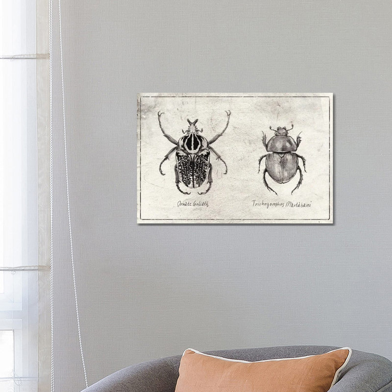 Ornate Goliath- Trichogomphus Martabani by Mike Koubou - Wrapped Canvas Print, 66.04 cm H x 45.72 cm W
