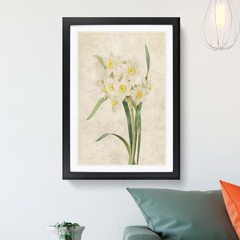 White Daffodils by Pierre-Joseph Redoute - Picture Frame Art Prints, 36cm H x 27cm W x 2cm D, Black Framed