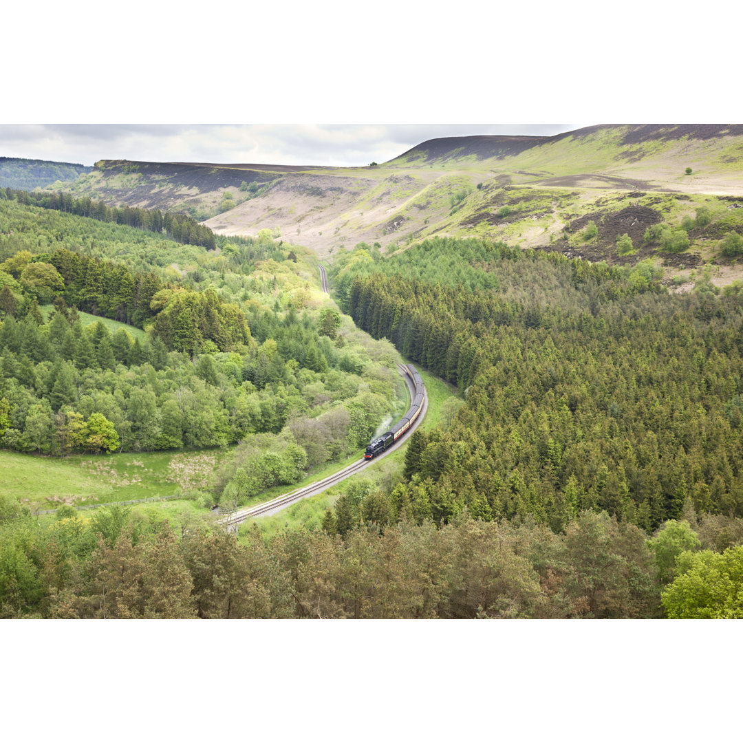 North York Moors Railway von PaulaConnelly - Kunstdrucke auf Leinwand