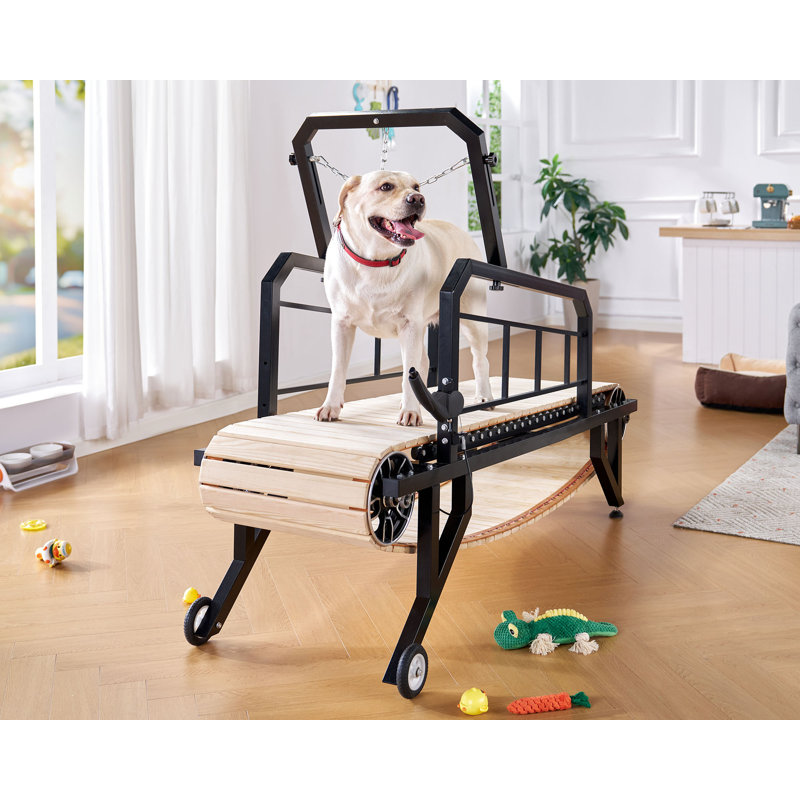 Dog Treadmill with Hand Brake, Up to 300lbs, 19" W