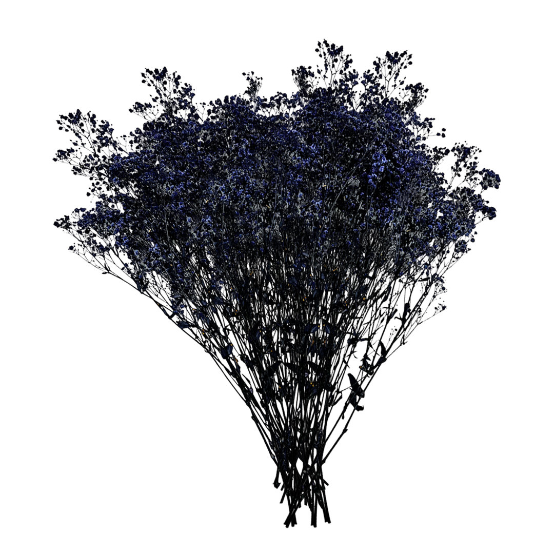 Dried Preserved Baby's Breath Stems, Blue Purple