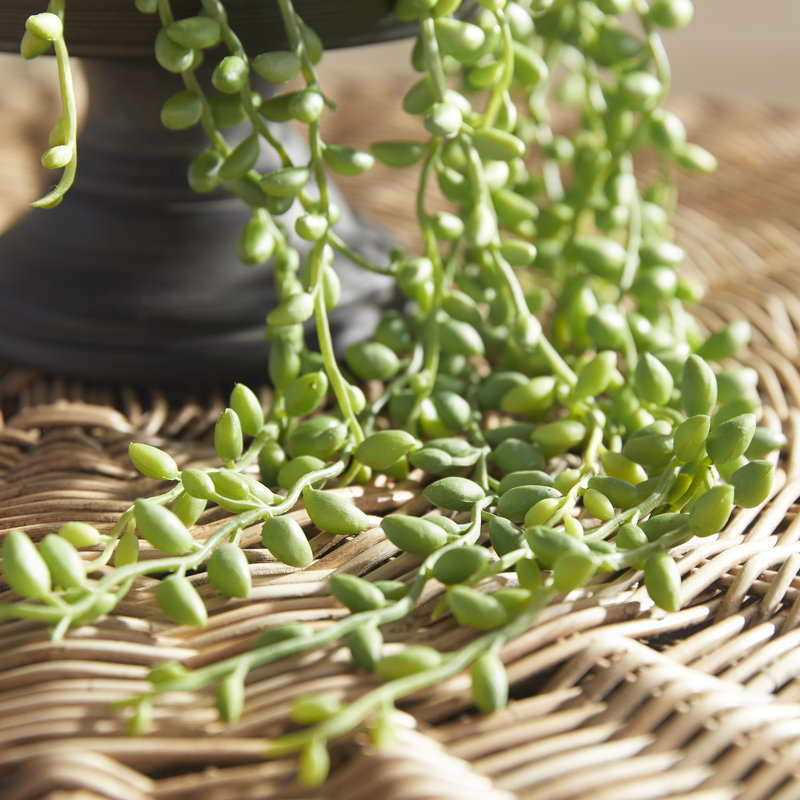 26'' Faux Succulent Plant in Planter