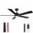 52" 5-Blade Modern Wood Ceiling Fan with Light Kit and Remote Control, 6-Speed, Quiet DC Motor, Indoor/Outdoor-2129010494