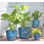 Pots en terre cuite émaillée Coco, grand format, ensemble de 4 - Intérieur/Extérieur-1548482615-1548483533