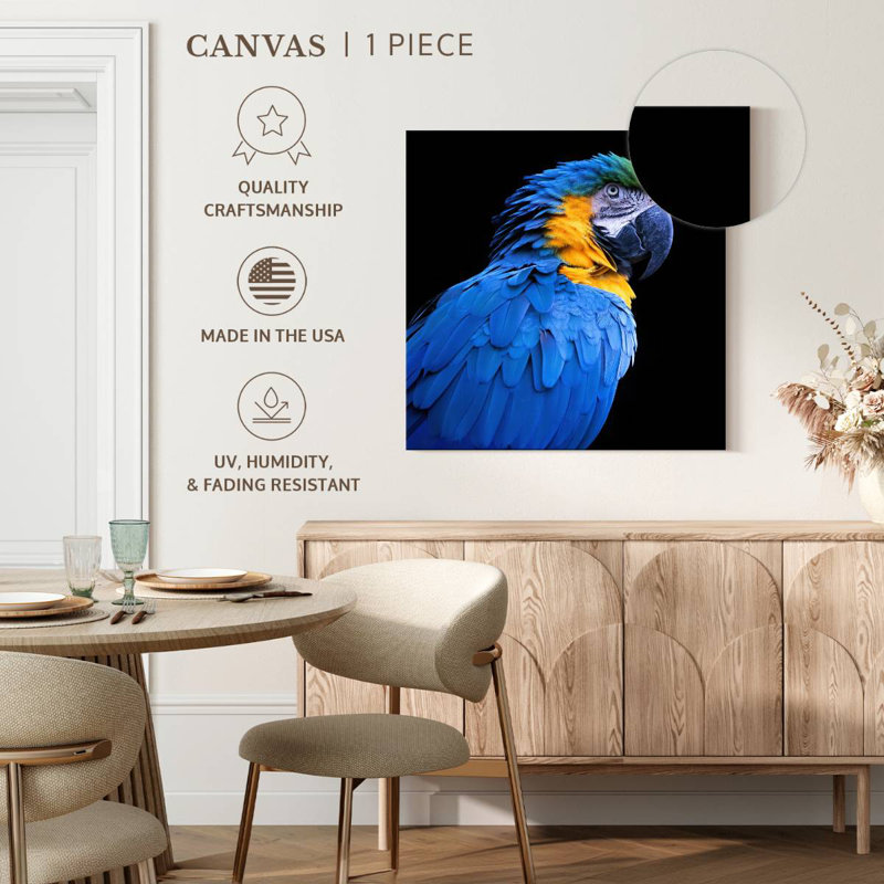 Ara bleu néotropical Brampt, H 10 pi x l 10 pi