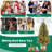 Jaspert 4' Lighted Christmas Tree