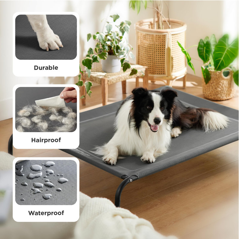 Pet Bed