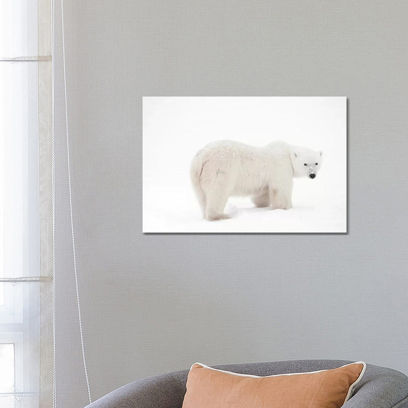 Canada, Manitoba, Churchill. Polar Bear On Frozen Tundra by Jaynes Gallery - Wrapped Canvas Print