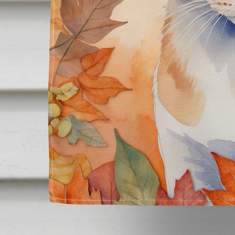 Chat en feuilles d'automne, Mau arabe
