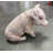 New Born Pig Sitting Life Size Statue