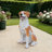 Lifelike Hound Dog Statue