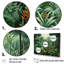 Ensemble de décoration murale Tropical Wilderness Escape I - Jungle-107743013-107743015