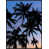 Black Framed selected