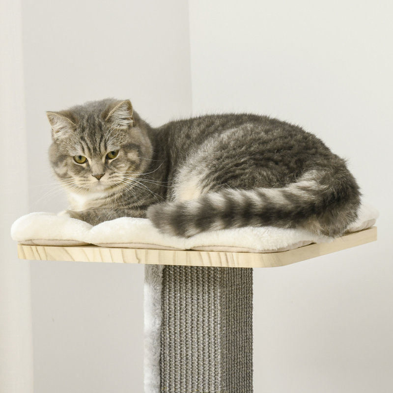 Arbre pour chat Cozy-House