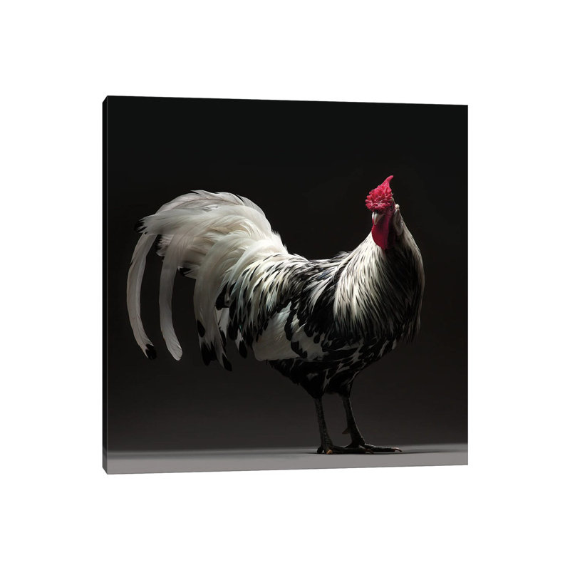 Hamburgh by CHICken - Wrapped Canvas Print, 45.72 cm H x 45.72 cm W x 1.91 cm D
