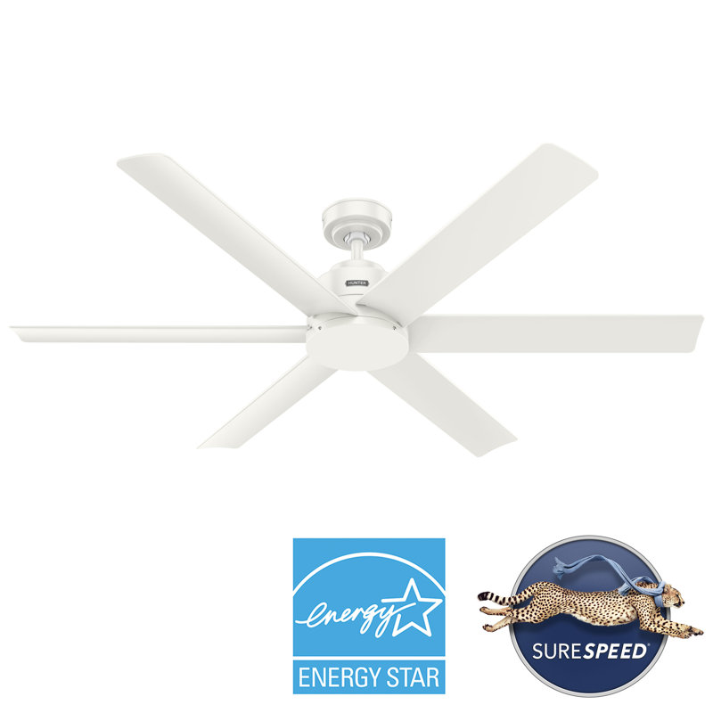 Hunter 60 inch Kennicott ENERGY STAR® Damp Rated Ceiling Fan and Handheld Remote