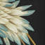 Kravet Design - W4207-816-45378537