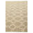 Iverson Beige Rug