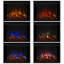 Ashley 48" Electric Fireplace by Real Flame-99254790
