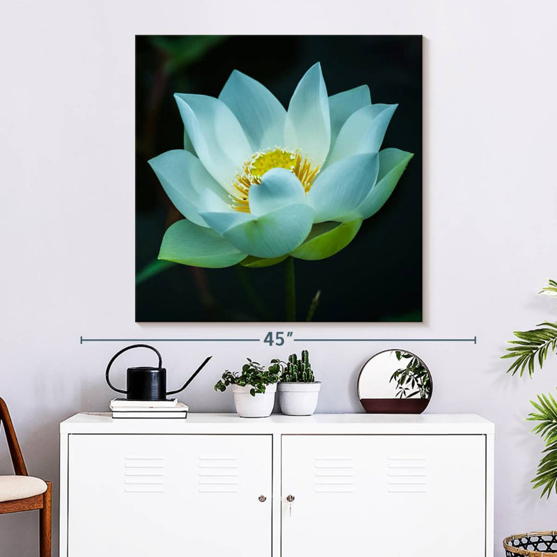 Harnek Lotus at Dawn