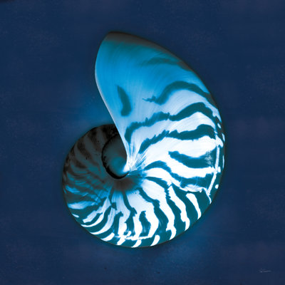 Cyanotype Sea I by Sue Schlabach - Wrapped Canvas Print