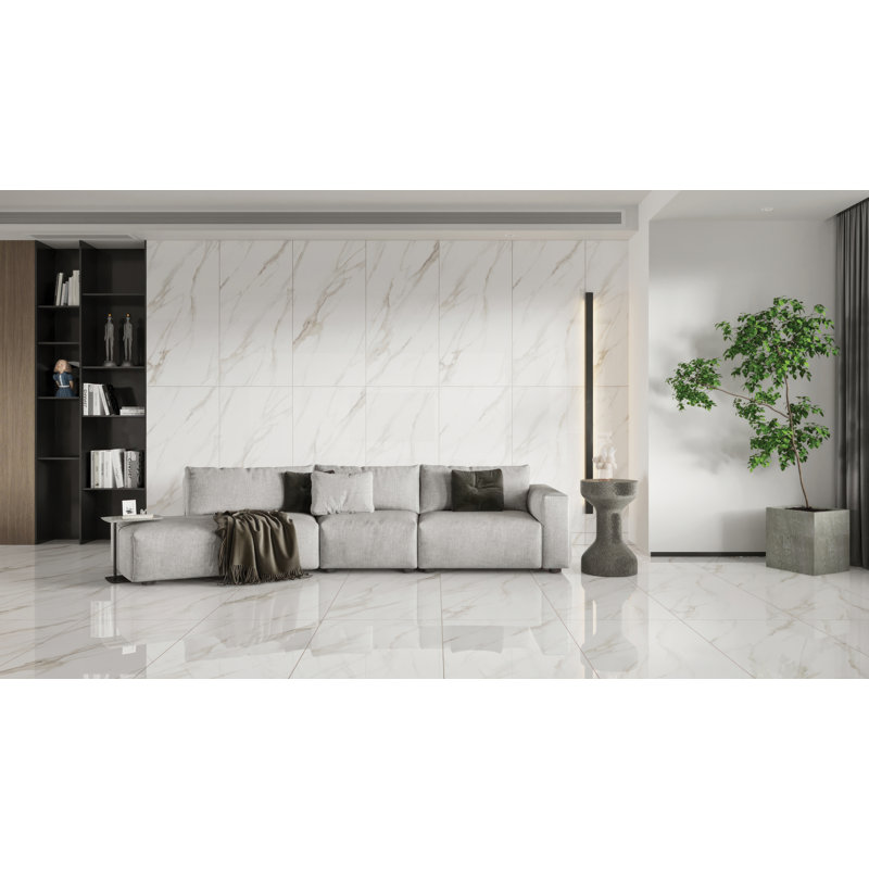 Shandar 24" x 48" Porcelain Marble Look Wall Floor Use Tile, Matte