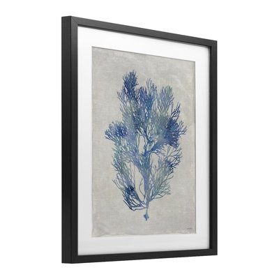 Blue Seaweed Bushel Framed Print Under Glass, design by Amber Sterling