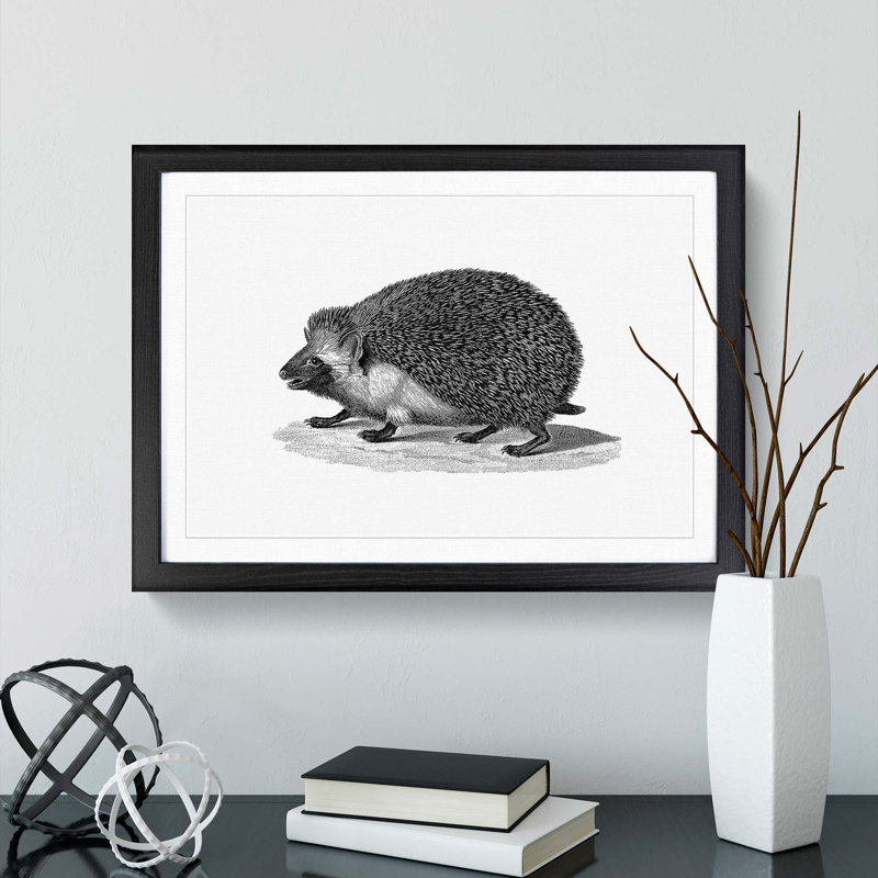 Hedgehog Illustration - Framed Print, 27cm H x 36cm W x 2cm D, Black Framed