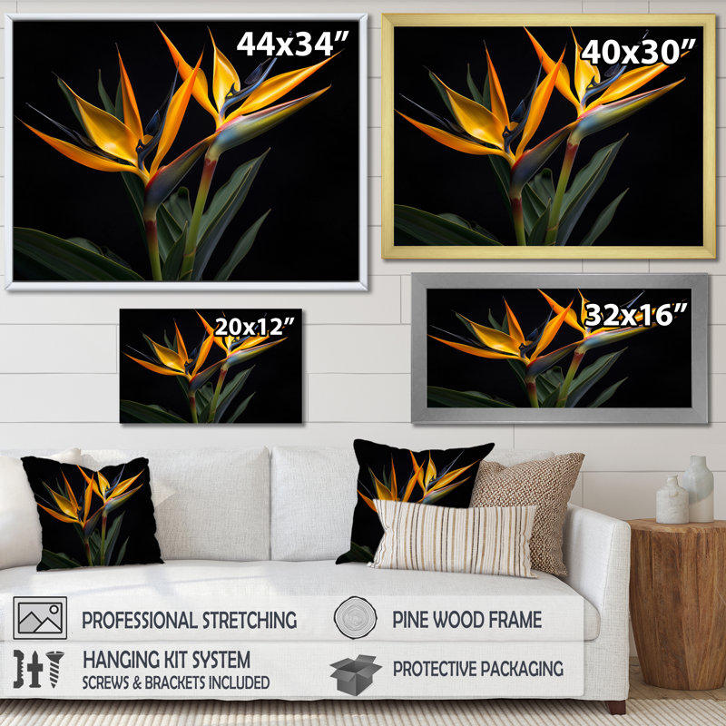 Oiseaux de paradis fleurs I - Art mural oiseaux de paradis, Cadre simple noir, H 34 po x l 44 po x P 1,5 po