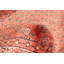 Tapis cuivre Andelz 2 pi 6 po x 9 pi 9 po