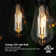 60 Watt Equivalent ST64 E26/Medium (Standard) Dimmable 2700K LED Bulb