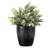 Artificial Eucalyptus Plant Pot in Concrete Planter