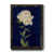Black Paper is out of stock