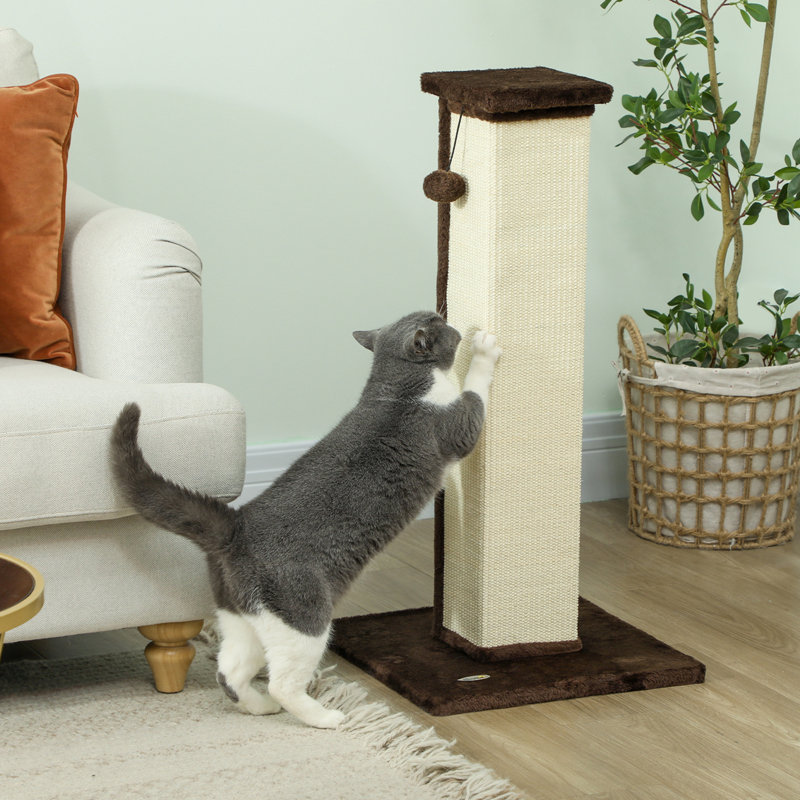 Scratching Post, Brown