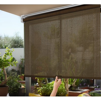 Cordless Roller shade