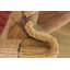 Tapis en laine beige 5 pi 3 po x 6 pi 4 po one-of-kind noué la Nash
