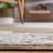 Sierra Performance Oriental Rug-66094043