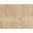 Hand Knotted Wool Indoor Rug