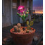 Piquet de jardin solaire Narelle
