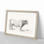 Standing Bull by Jean Bernard - Picture Frame Drawing Print-55619827-55619829