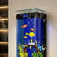 Aquarium 45-50 gallons