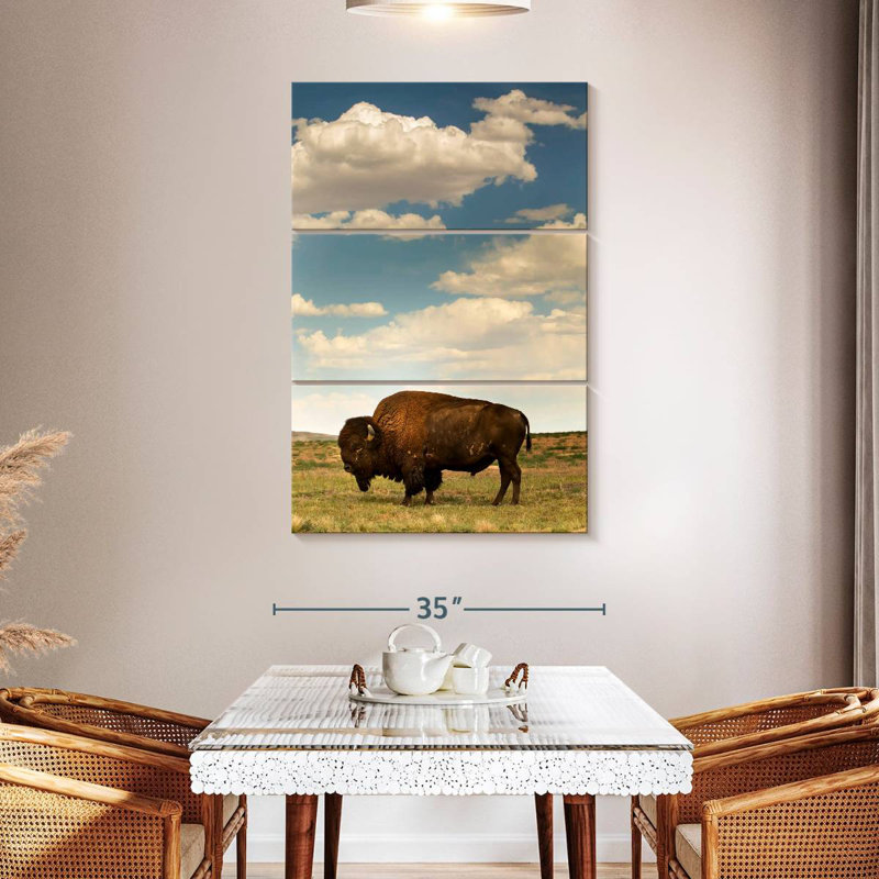 Bison des Rocheuses Brampt, H 50 po x l 32 po