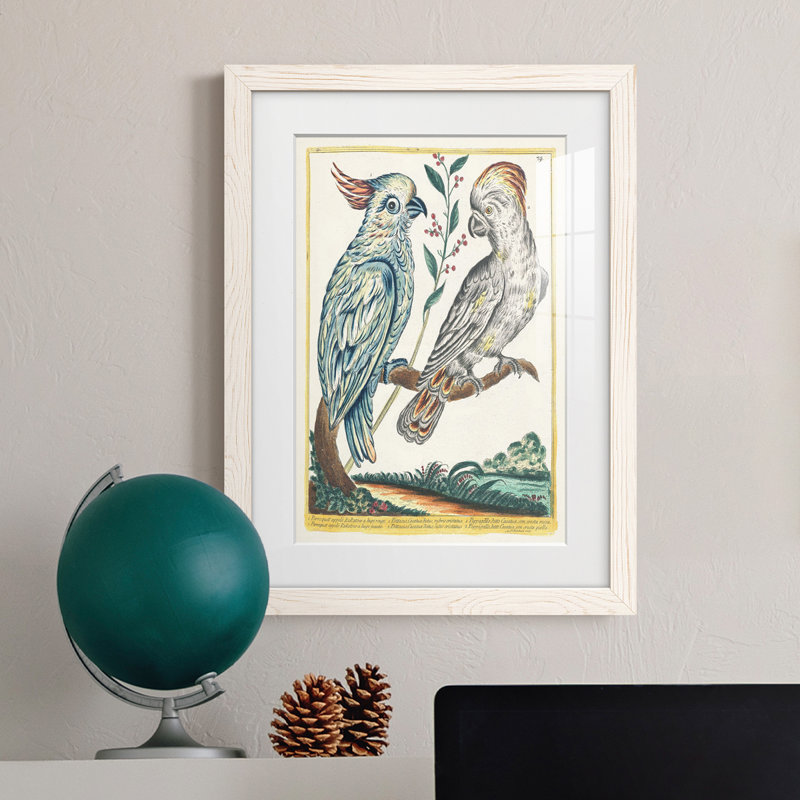 Pastel Birds I Premium encadré mat - prêt à être accroché, H 20 po x l 17 po x P 1 po, Cadre blanc