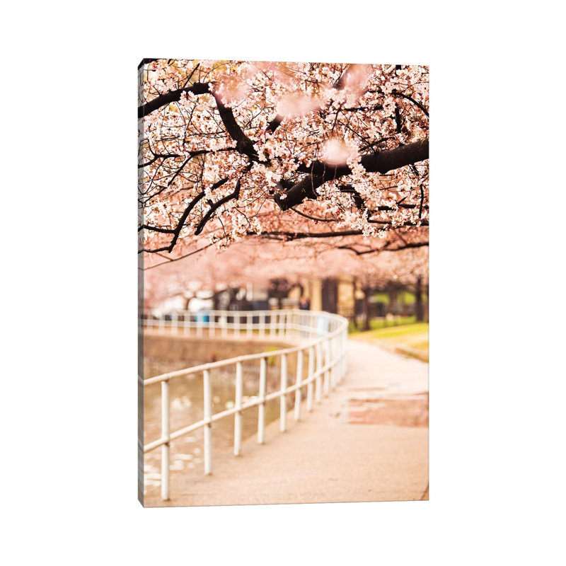 Canopy Of Cherry Blossoms Over A Walking Trail by Susan Richey - Gallery-Wrapped Canvas Giclée on Canvas, Canvas